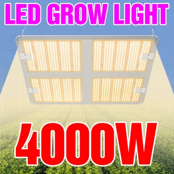 Светодиодный Растительный Светильник 4000 Вт 2000 Вт 1000 Вт Лампа Для Выращивания 110 В Гидропонная Лампа 220 В Полный Спектр Фитолампы Теплицы Sunlike Growth Lights