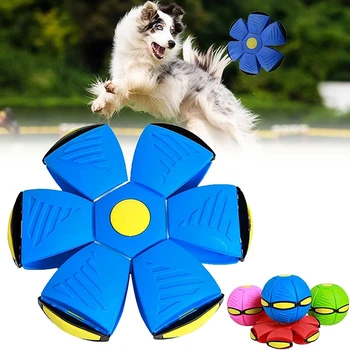 Тарелка Для Дрессировки Собак Игрушечный мяч Летающая игрушка Аксессуары для собак Игрушки для собак На открытом воздухе Перро Интерактивная Летающая Пелота Забавный Питомец на блюдце