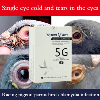 Хламидиоз, почтовый голубь, голубиное лекарство, монокулярная простуда, особое слезотечение у птиц-попугаев, распространенное заболевание